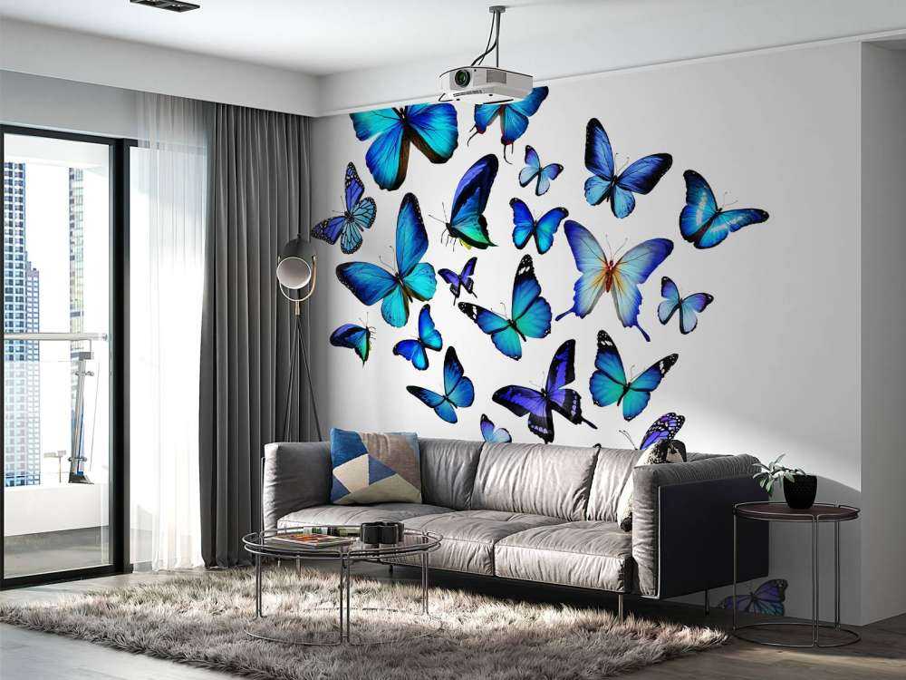 Blauw-paarse vlinders met een witte achtergrond