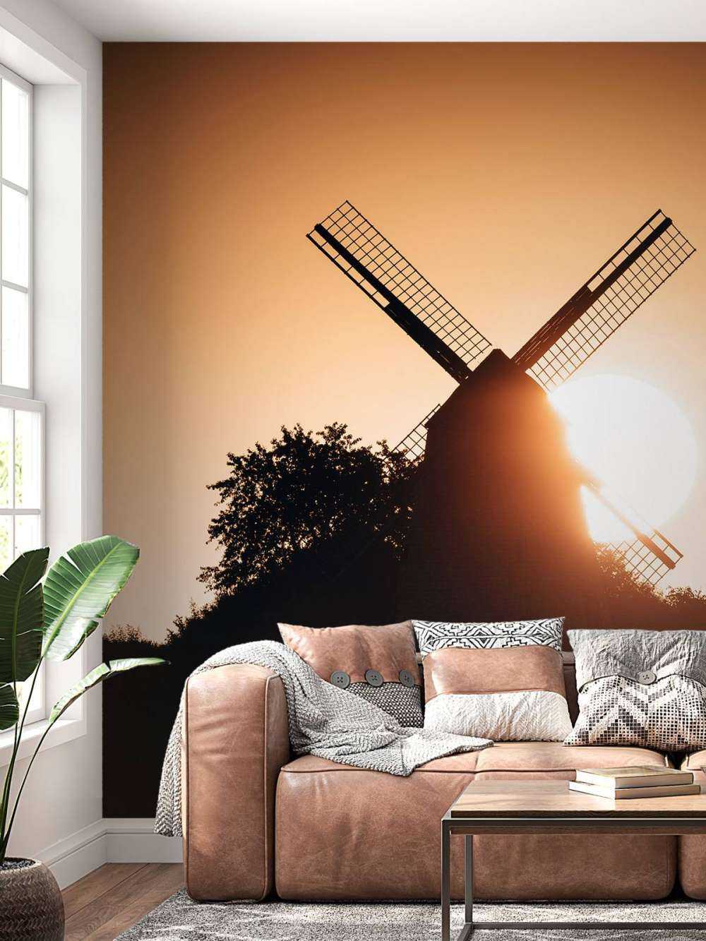 Zonsopkomst tijdens de zomer