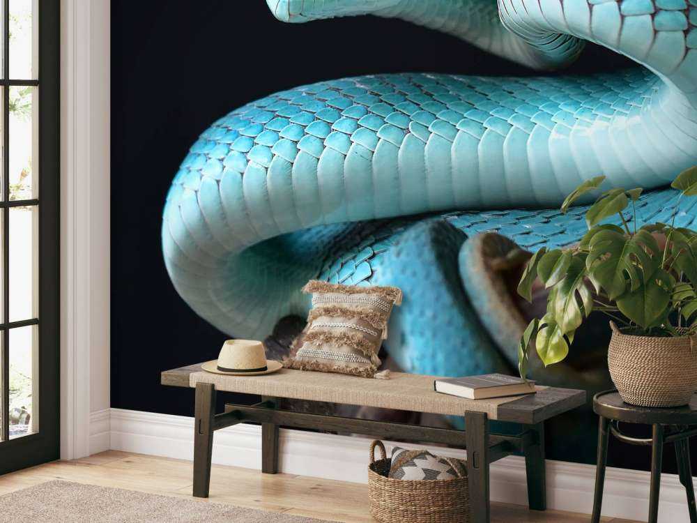 Blauwe Insularis slang