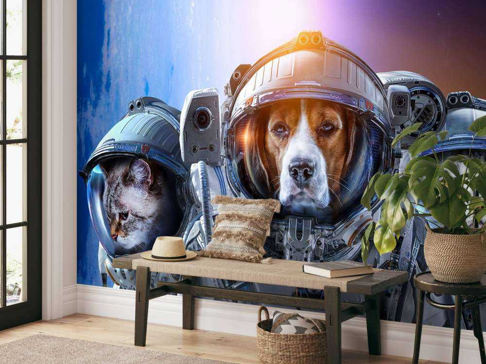 Dierlijke astronauten