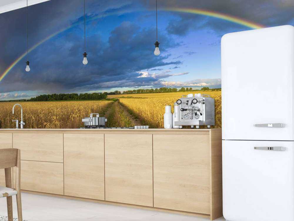 Regenboog over een graanveld