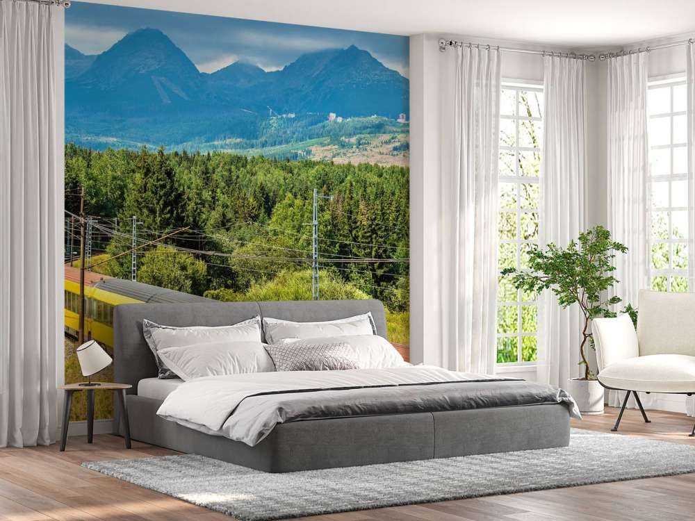 Trein door een bos in Slowakije