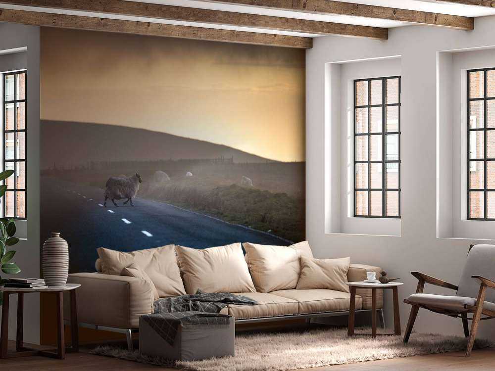 Overstekende schapen