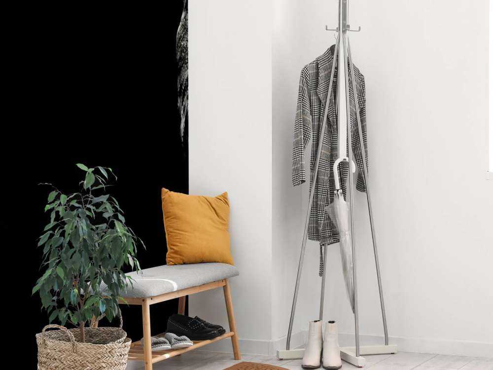 Uil in de duisternis