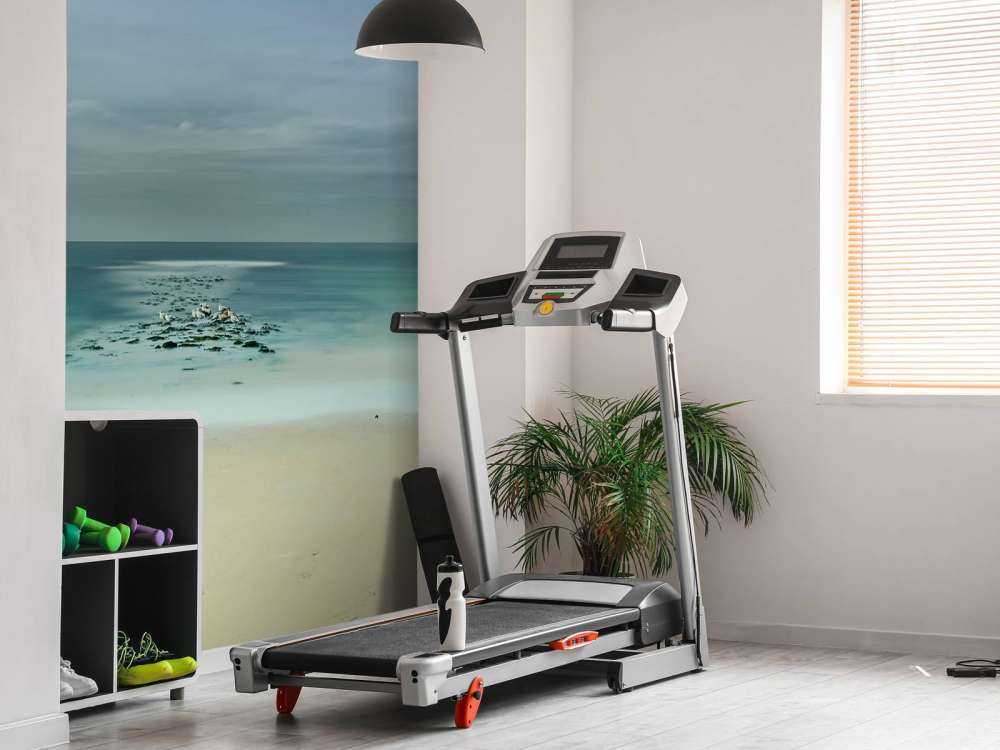 Rustige zee met meeuwen