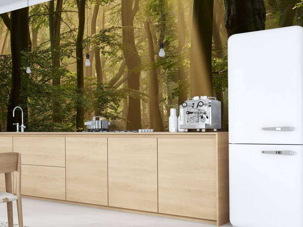 Oud bos met zonneharpen