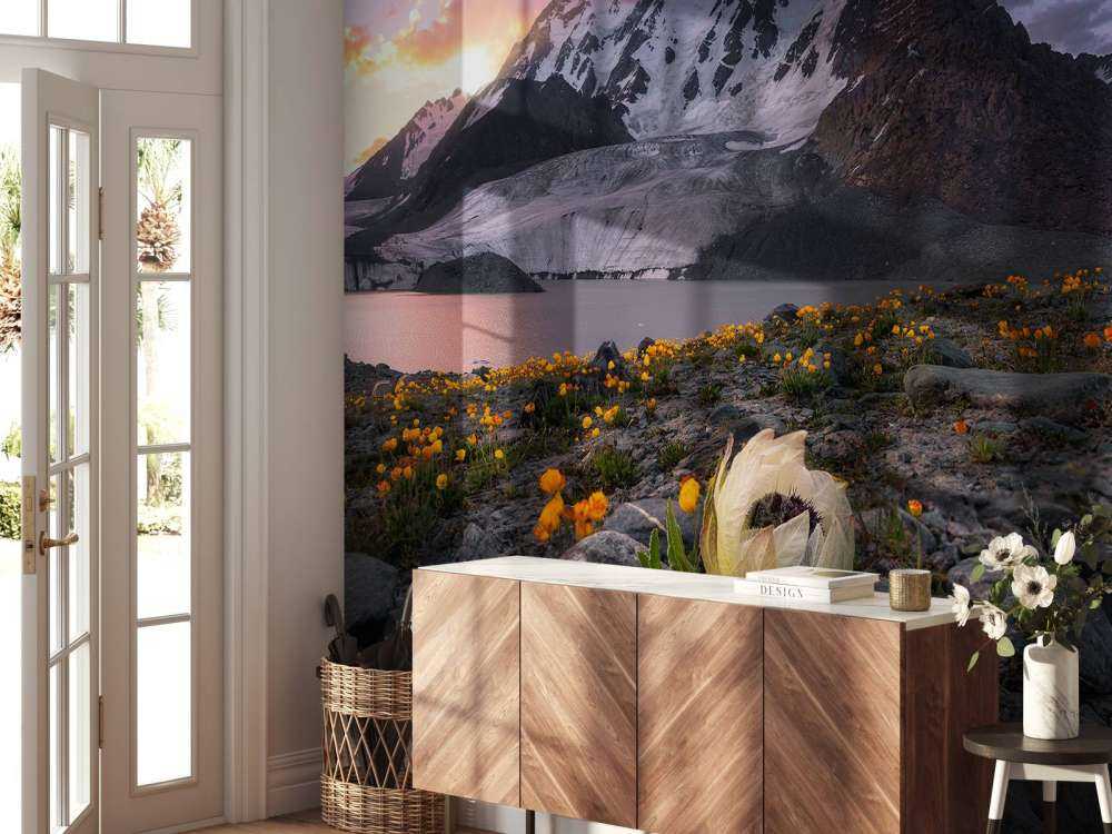 Morning at Saussurea