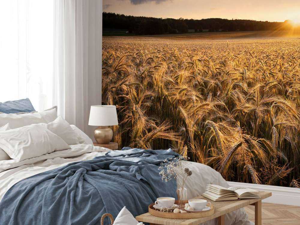 Fields of gold