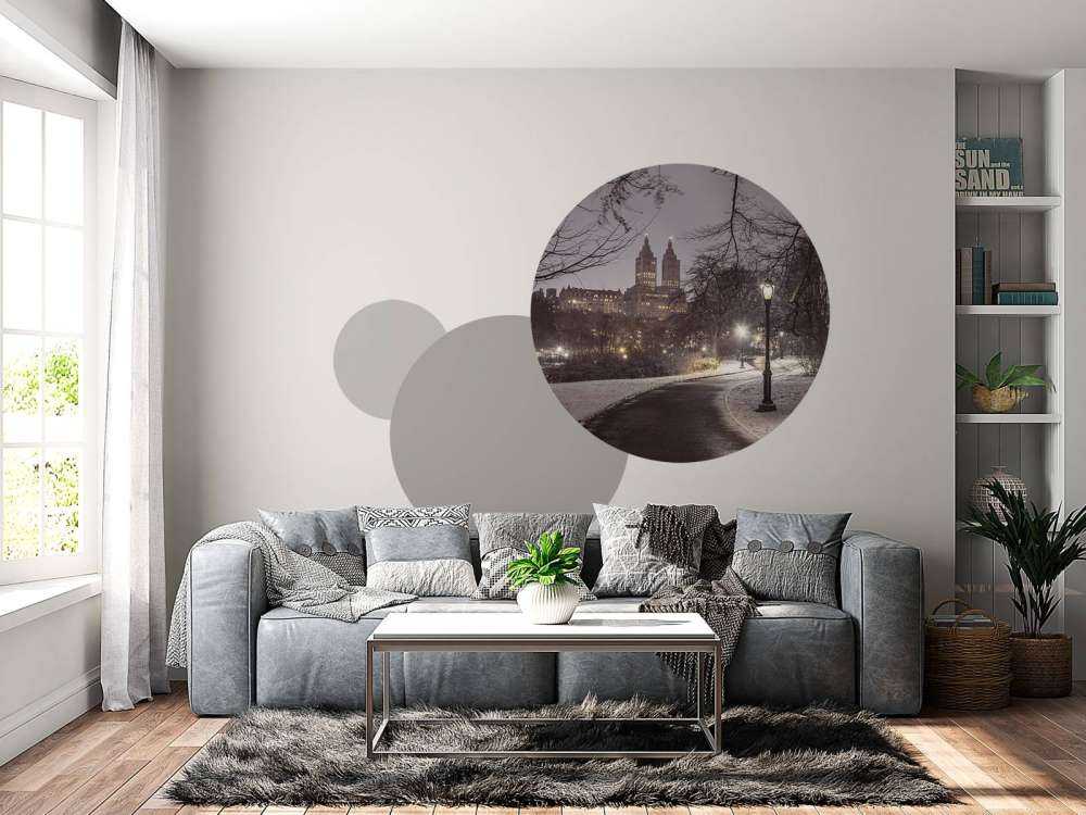 Besneeuwd Central park