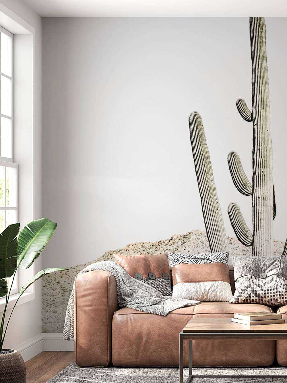 Hoge cactus