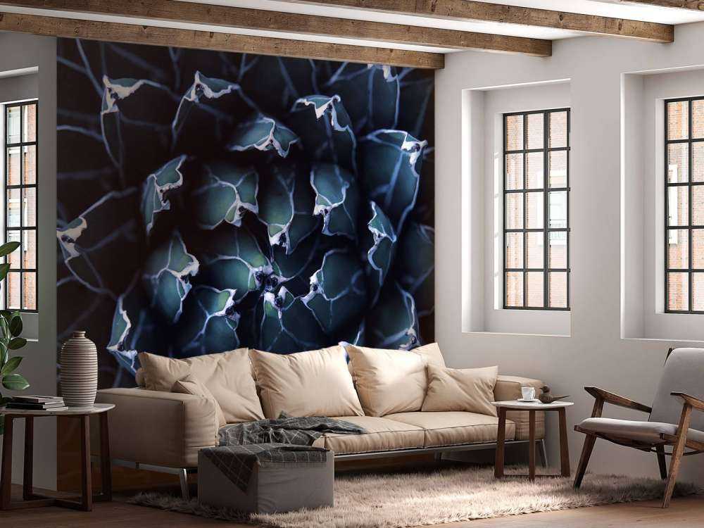 Donkerblauwe vetplant