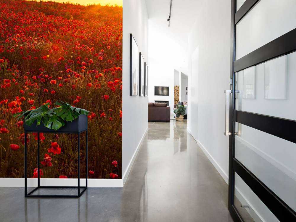 Klaprozen op een heuvel