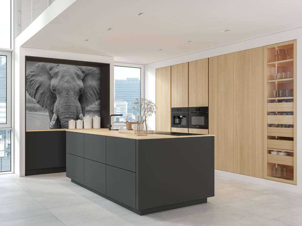 Olifant zwart-wit