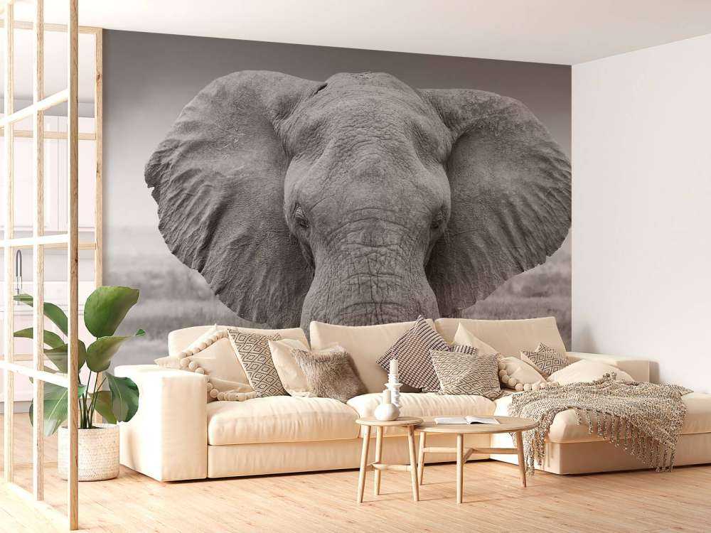 Olifant zwart-wit