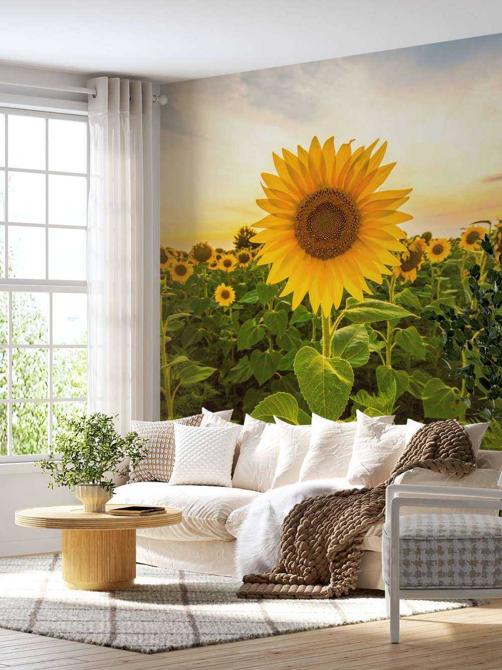 Zonnebloem in het veld