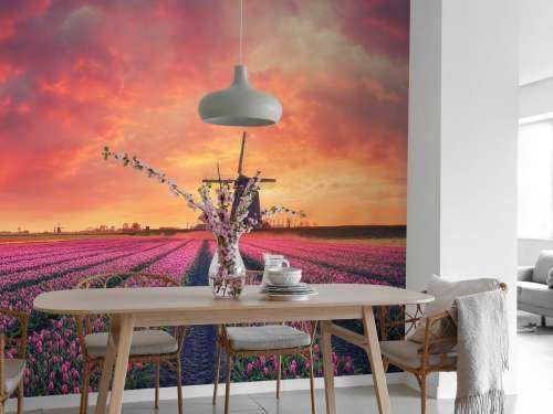 Tulpen met molen