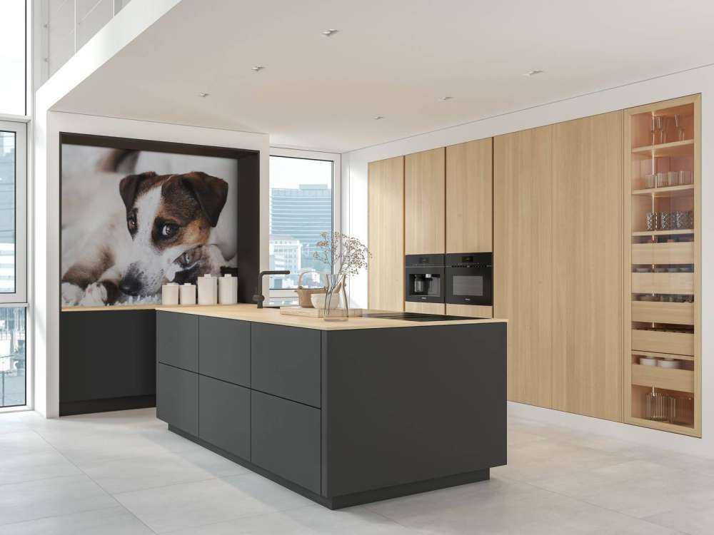 Hond en kat
