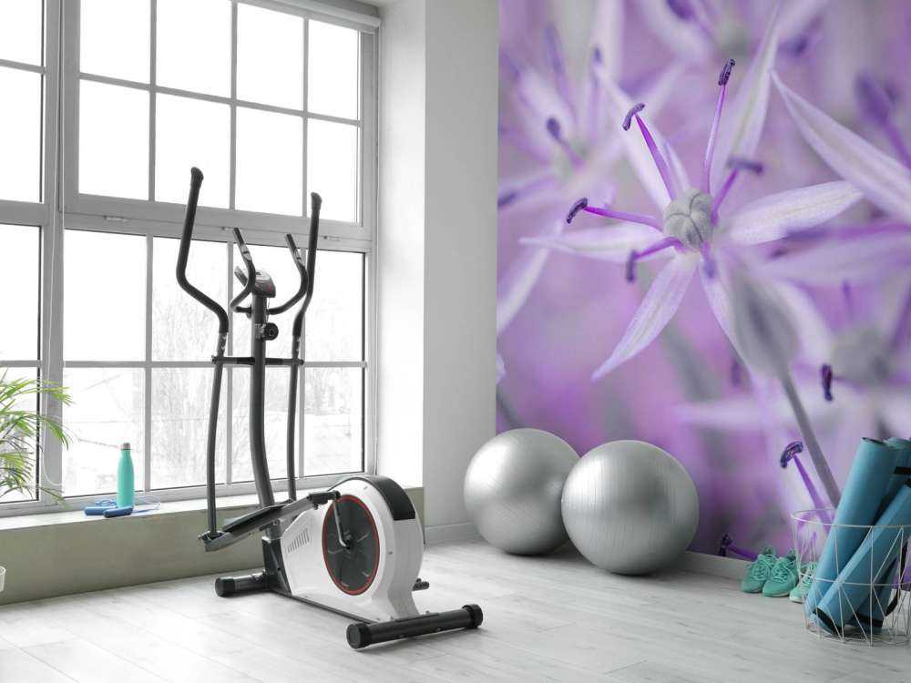 Paarse allium bloemen