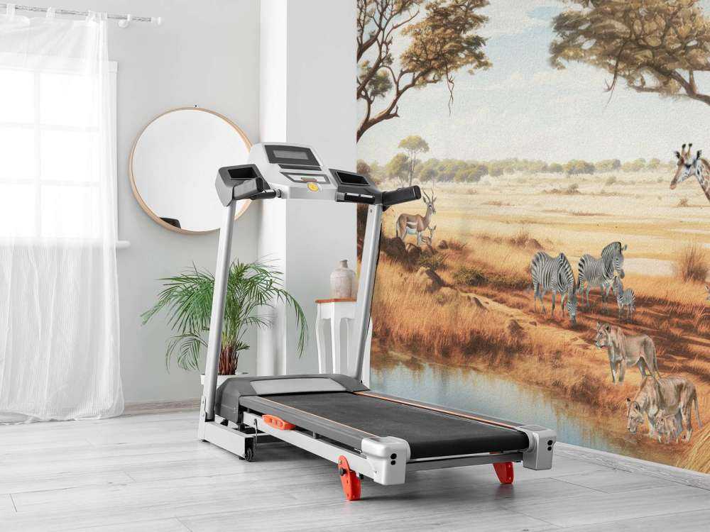 Safari landschap in kleur