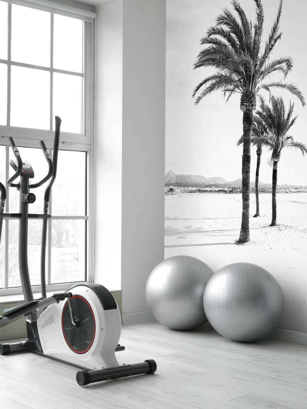 Palmbomen bij elkaar