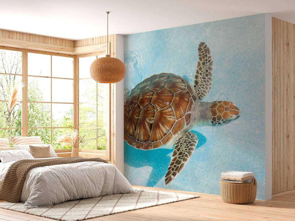 Schildpad in het water