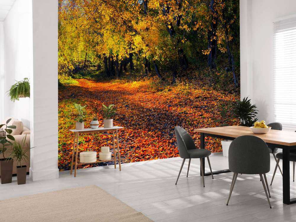 Herfstbos met Bomen en Bladeren