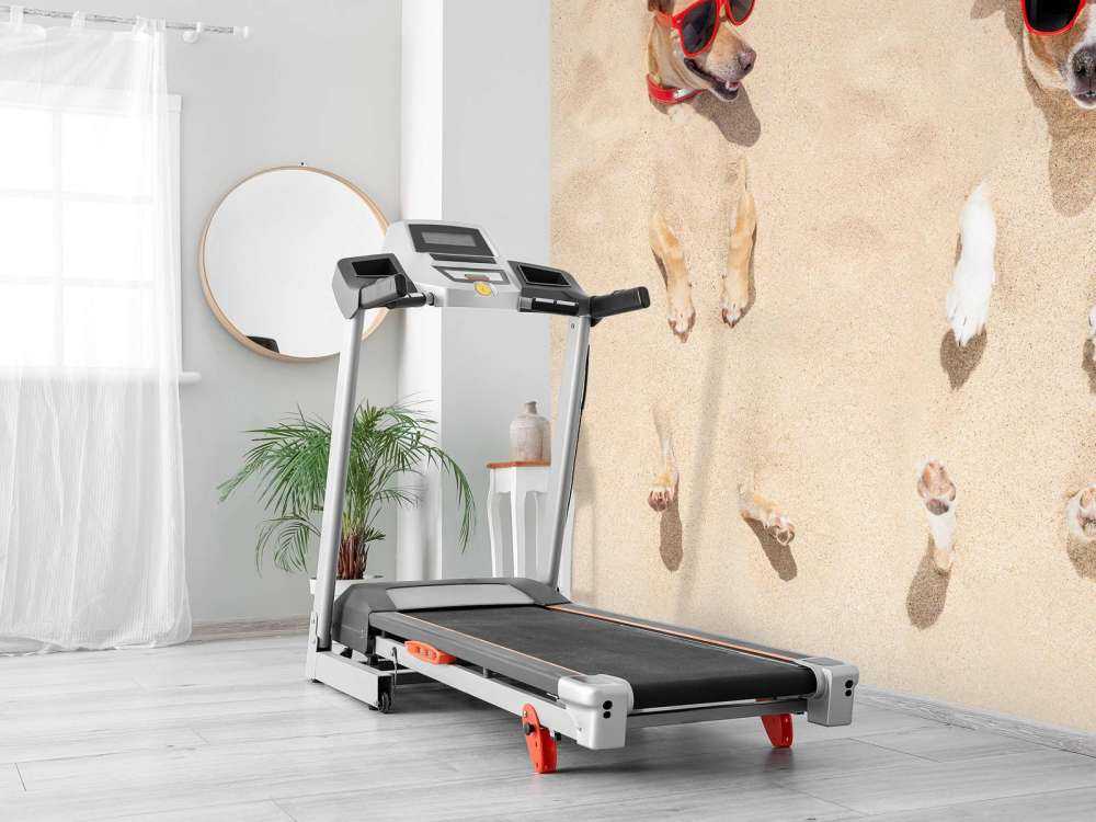 Ingegraven honden op het strand