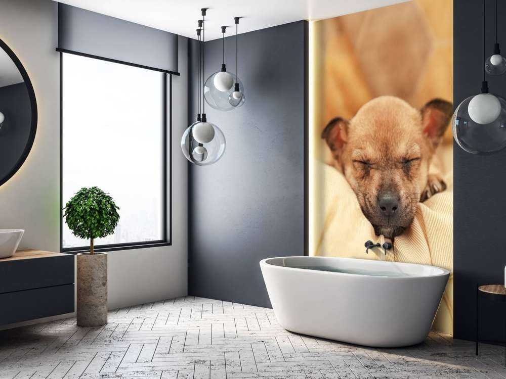 Kleine puppy slaapt op een kussen