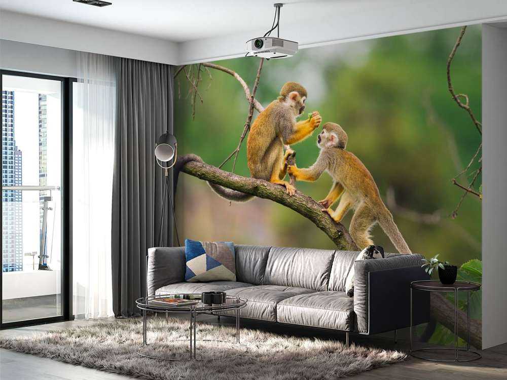 Twee doodshoofdaapjes op een tak