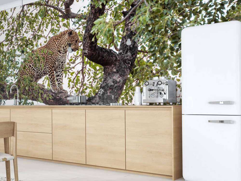 Luipaard in Kruger National Park