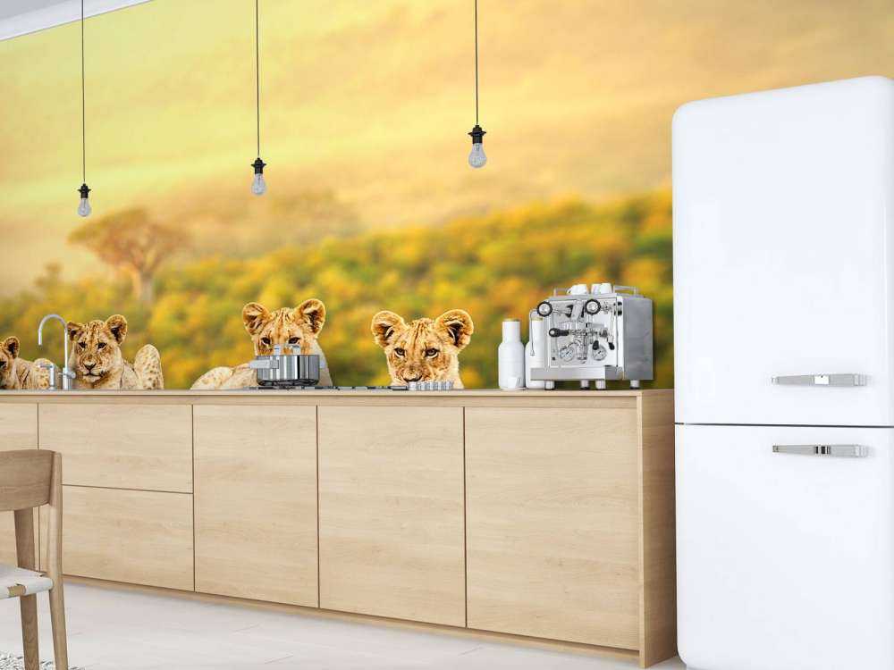 Leeuwenwelpen wachten op hun moeder