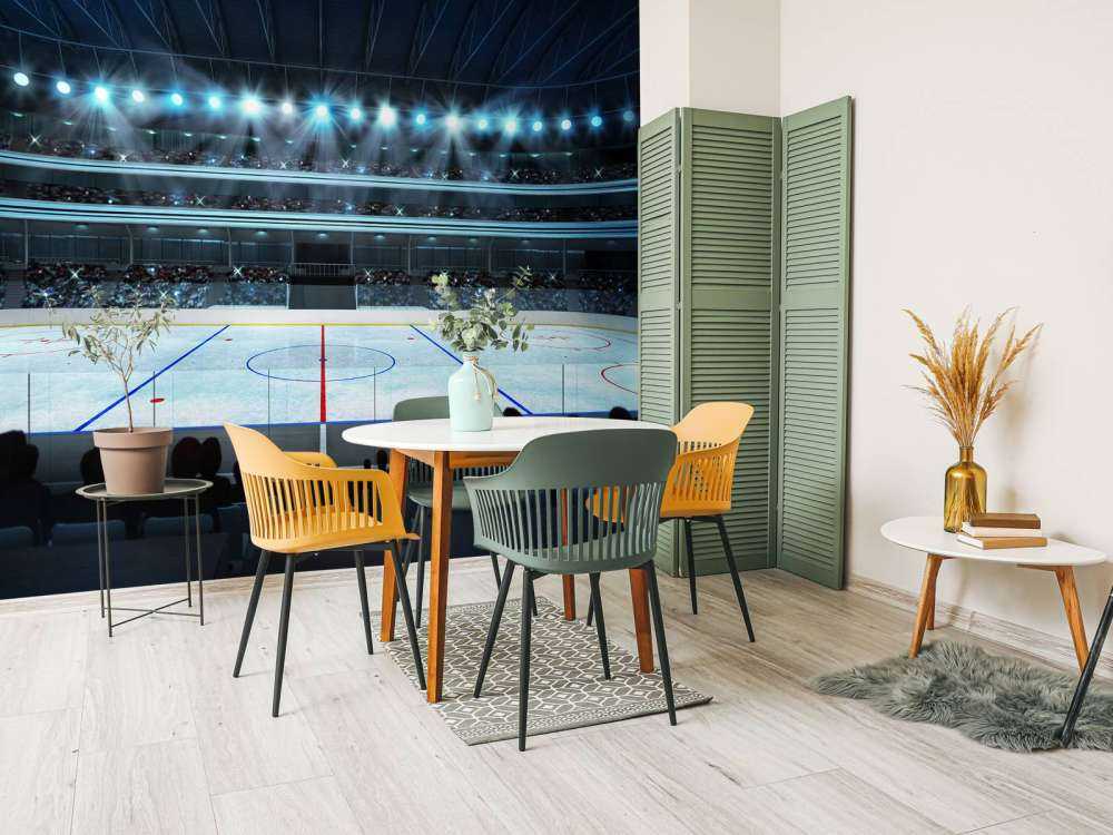 Luxueuze ijshockey arena