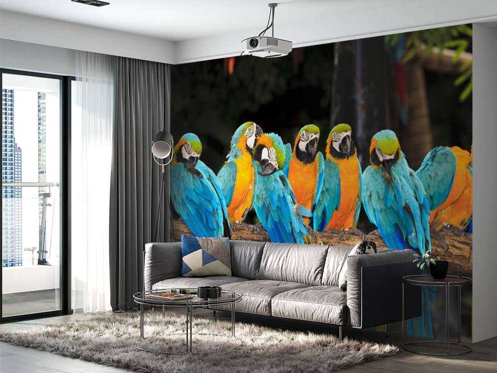 Papegaaien op een tak