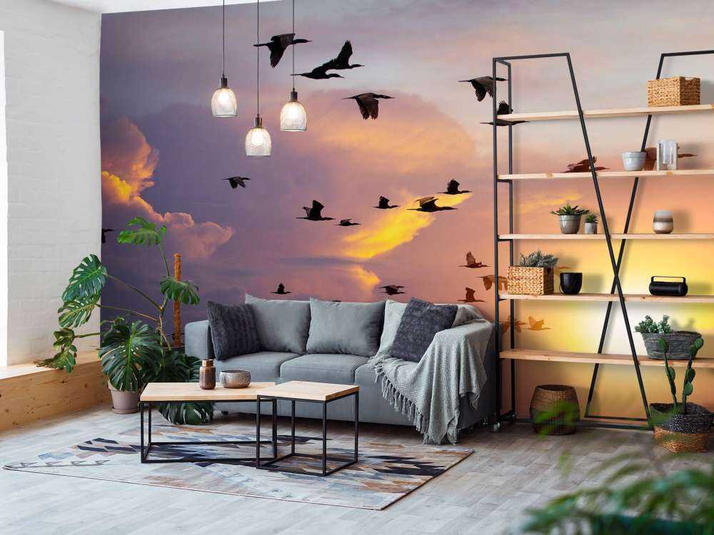 Vliegende aalscholvers bij zonsondergang