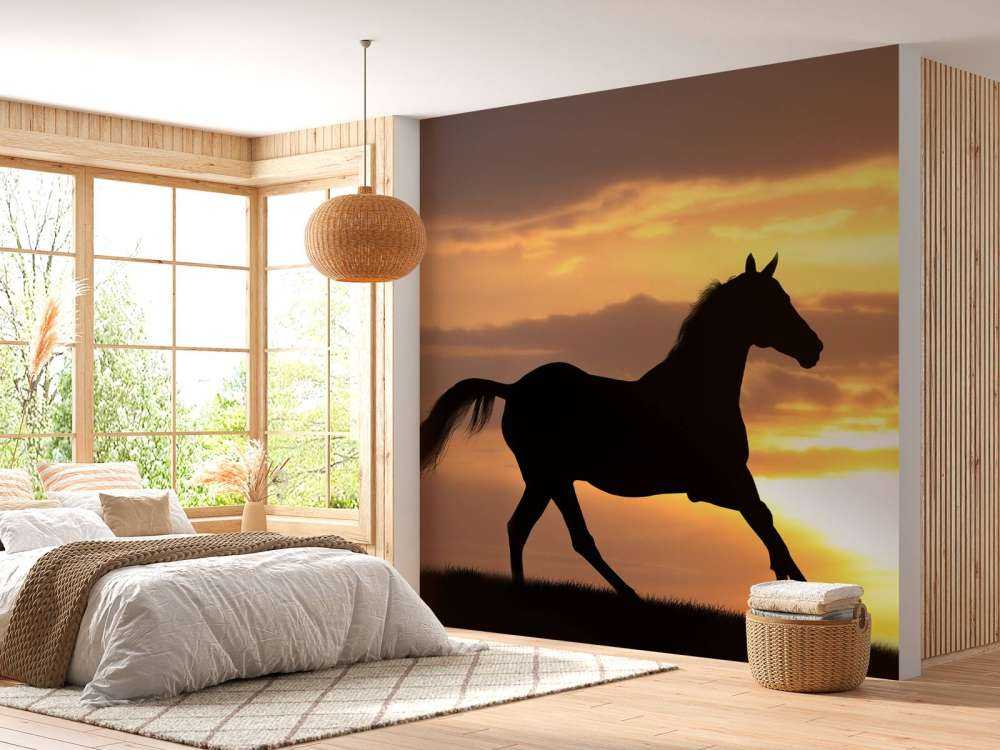 Paard tijdens Zonsondergang