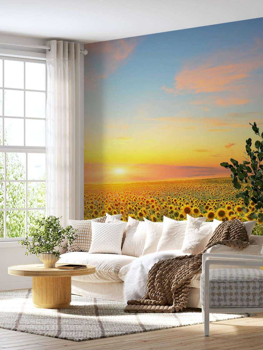 Zonnebloemen bij zonsondergang