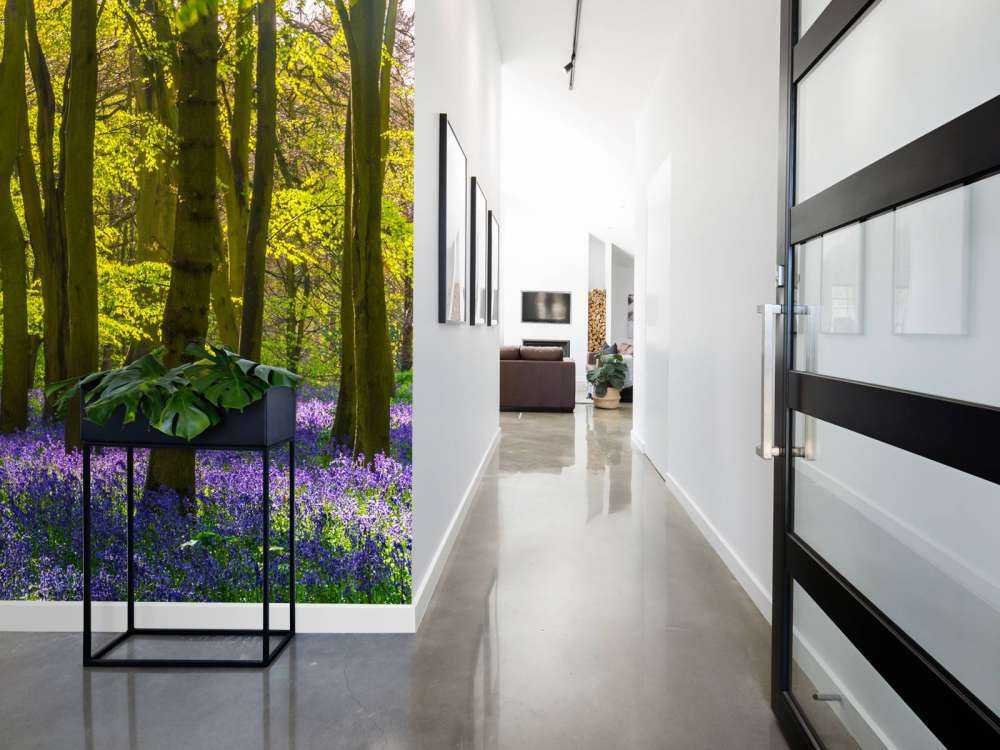 Bos met veel lavendel