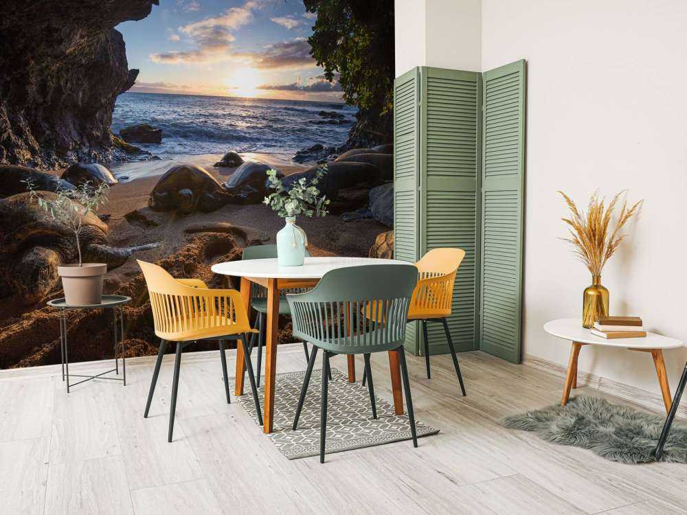 Schildpadden in een grot