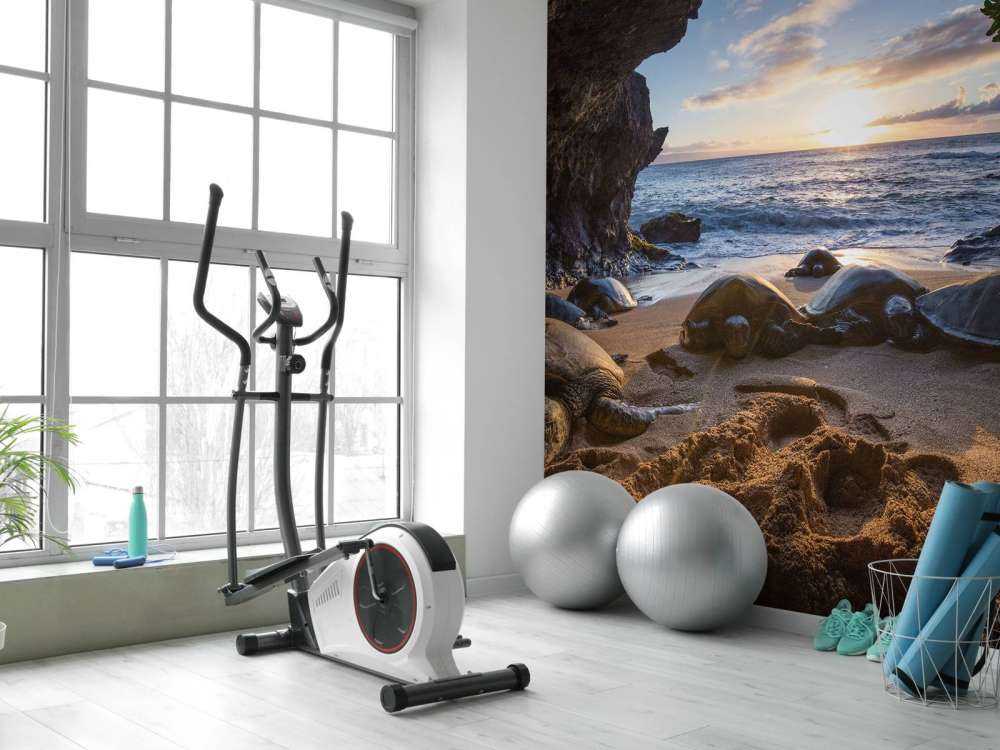 Schildpadden in een grot