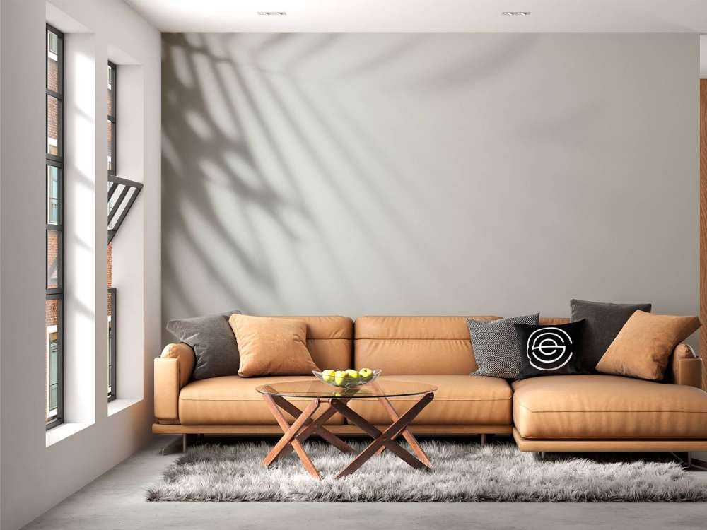 Schaduw van palmbladeren op de muur