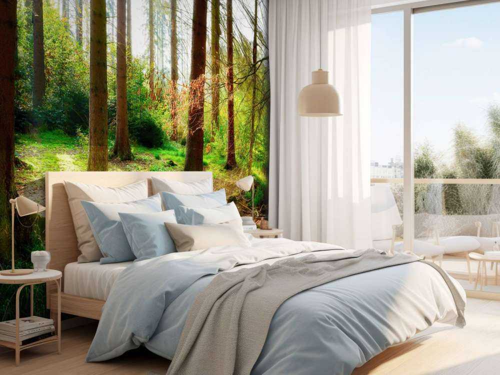 Herfstbos met helder zonlicht