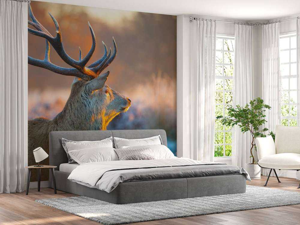 Hert met Wazige achtergrond