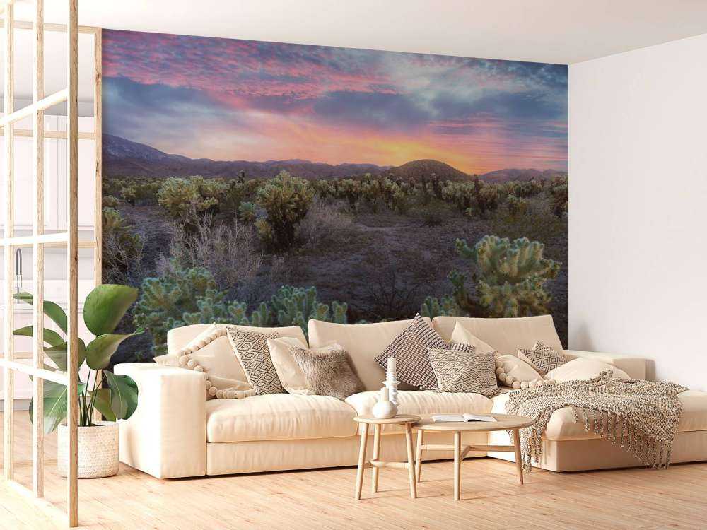 Cactusveld bij zonsondergang