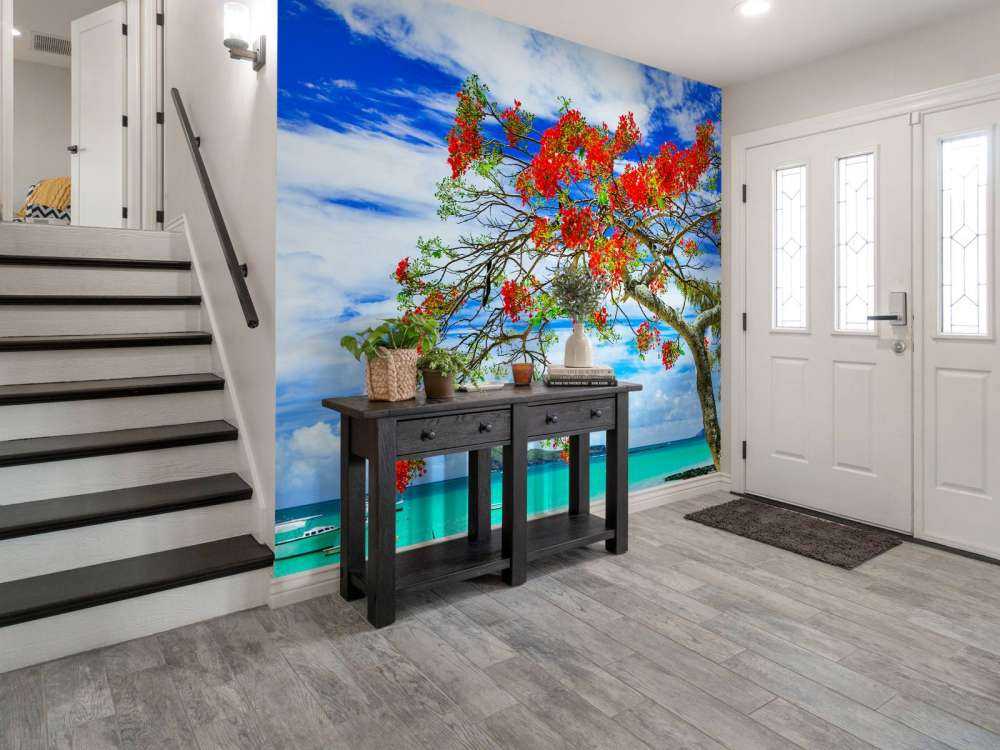 Rode flamboyant boom op het strand