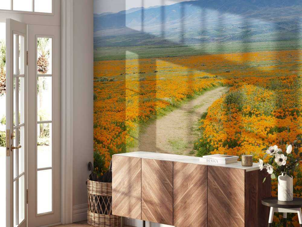 Oranje klaprozenveld in Californië