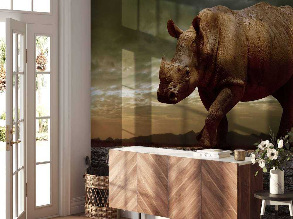 Afrikaanse neushoorn op een vuil veld