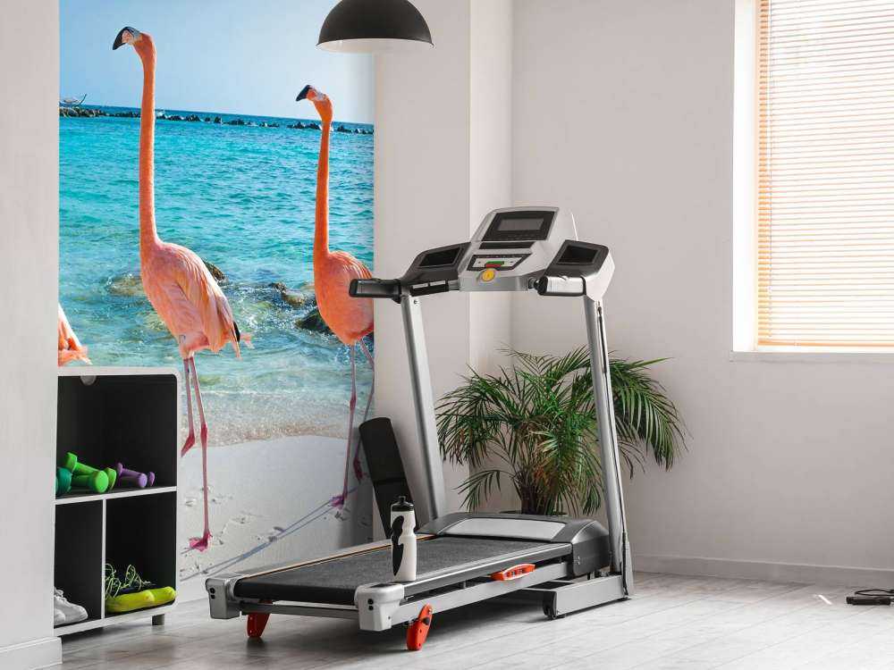 Rij van flamingo's op het strand