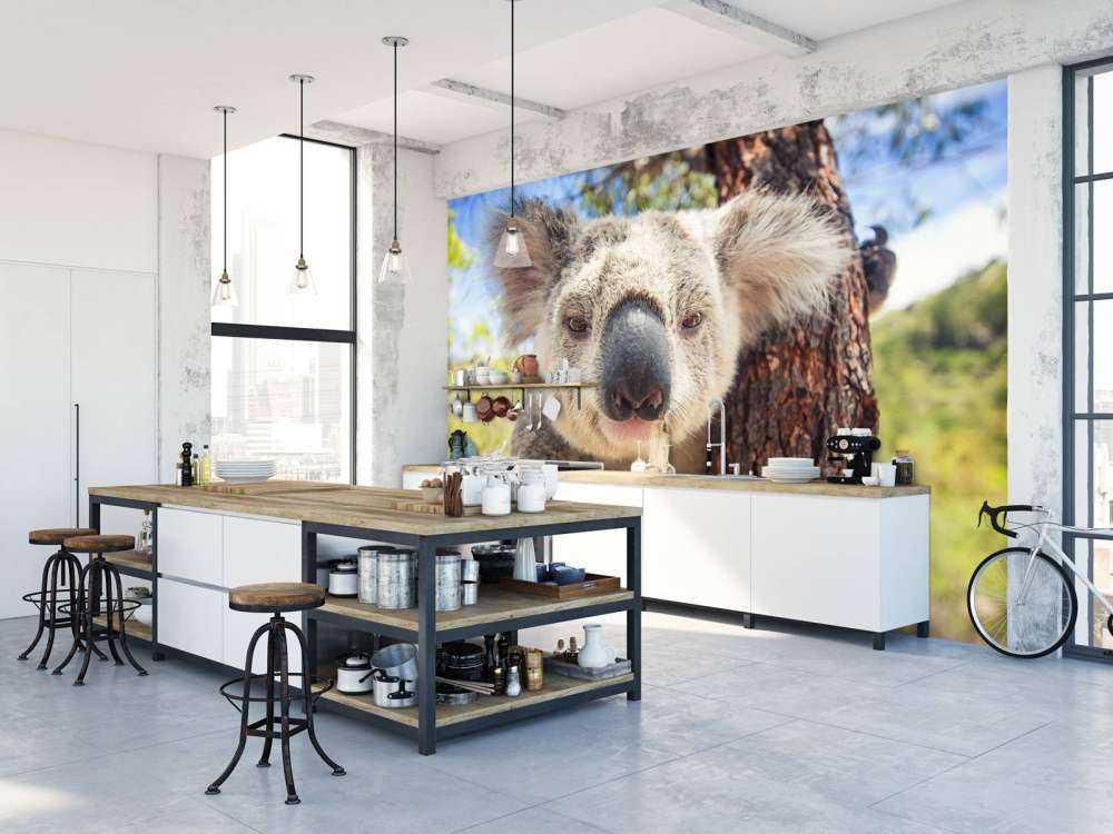 Schattige koala
