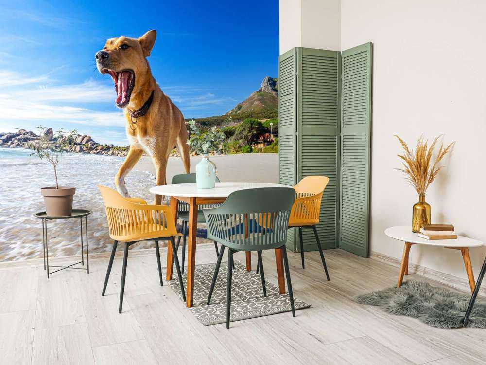 Hond in de zomer op het strand