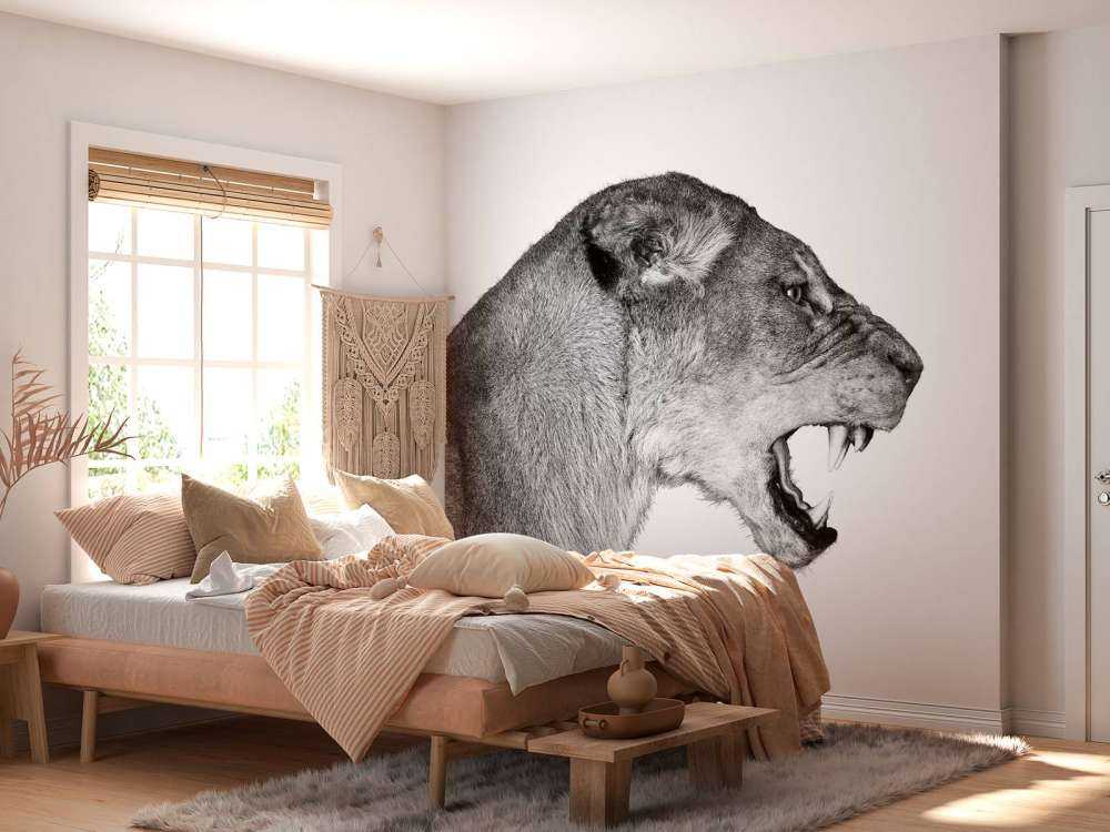 Lioness side view white